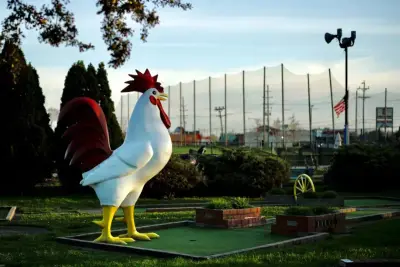 Cock o’ the Walk