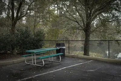Lonesome