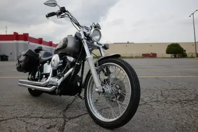 2-Tone Softail